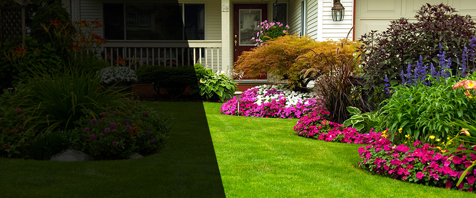 Winters Landscapers