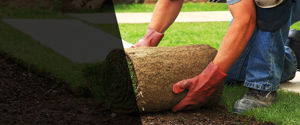 Winters Landscapers